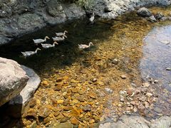 -布袋山风景区