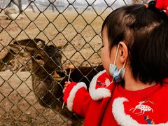 -西安秦岭野生动物园