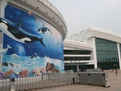 -北京海洋馆