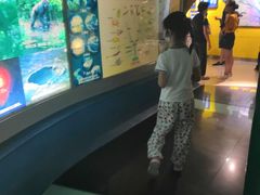 -上海昆虫博物馆