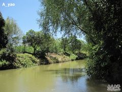 -大湾区中央湿地公园