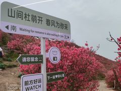 -木兰云雾山