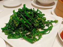 广东菜心苗-衡山汇·高级粤菜(霄云路店)