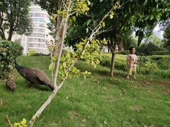 -华雅花园大酒店