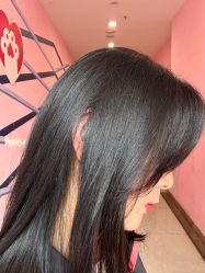 -藤野造型