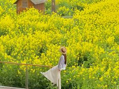 -中国天府农业博览园