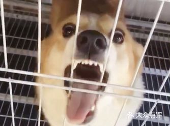 一直在狗刨,出來不到,哈哈哈哈哈哈哈哈哈!