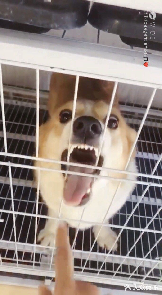 一直在狗刨，出來不到，哈哈哈哈哈哈哈哈哈！