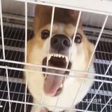 一直在狗刨，出來不到，哈哈哈哈哈哈哈哈哈！