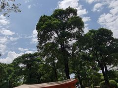 -松山湖梦幻百花洲