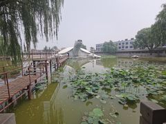 -东方巨龟苑景区