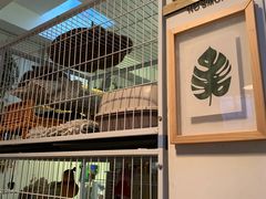 -小时光咖啡馆(北锣鼓巷店)