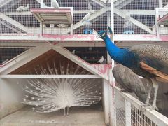 -金庭庄园酒店-停车场