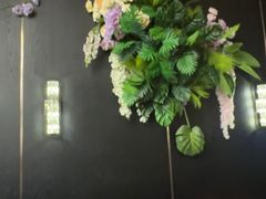 -宇安泰料(龙湖天街黑金店)