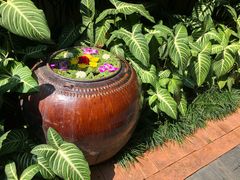 -四季酒店下午茶