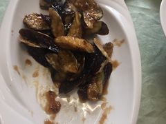 -丁老爷子苏香圆