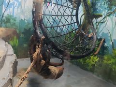-合肥海洋世界