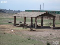 -新疆天山野生动物园