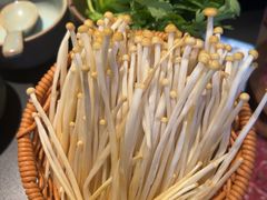 -季季山·云南野生菌火锅(上海首店)