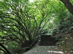 -紫金山山顶公园