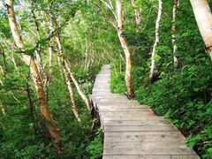 -白草畔自然风景区