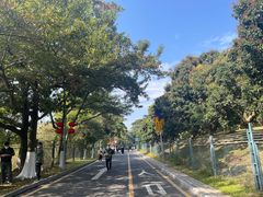 -东莞植物园