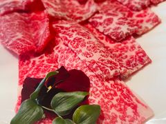 -辉哥火锅(虹桥路店)