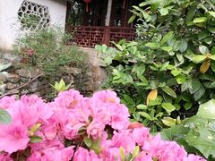 -上海醉白池公园