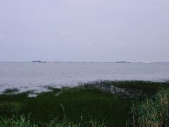 -吴淞炮台湾湿地森林公园烧烤区