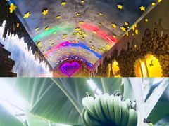 -呀路古热带植物园