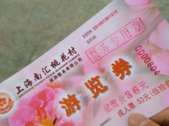 -南汇桃花村