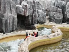 -蓬莱欧乐堡梦幻世界