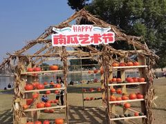 -上海月湖雕塑公园