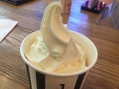 -JW德国冻酸奶Frozen Yogurt(龙湖成都滨江天街店)