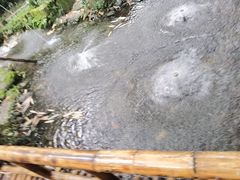 -望江楼公园