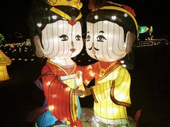 -南宫五洲植物乐园