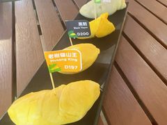 -榴莲BB 四季果园