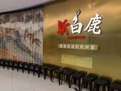 -新白鹿餐厅(虹桥南丰城店)