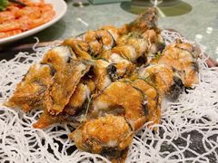 -老伙记海鲜码头(北滘店)