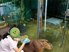 -昆明动物园