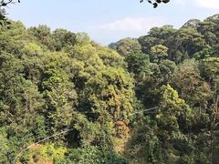 -清迈丛林飞跃 JungleFlight