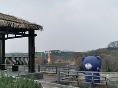 -大塘金香草谷
