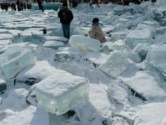 -长春市南湖公园