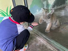 -西安秦岭野生动物园