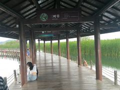 -太湖湖滨国家湿地公园-停车场