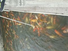 -南戴河国际娱乐中心