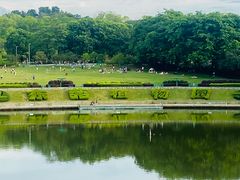 -东莞植物园