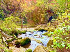 -五女峰国家森林公园