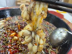 -烧哥美蛙肥肠鱼火锅·十五年社区店