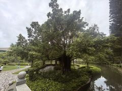 -厦门大学(思明校区)